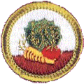 pack371 gardening badge